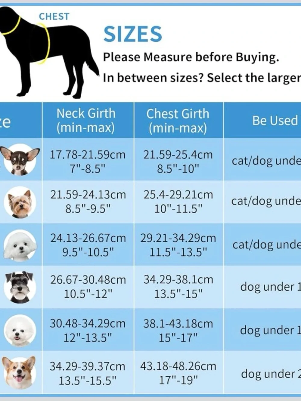 Light Blue Mesh Dog Harness with Leash